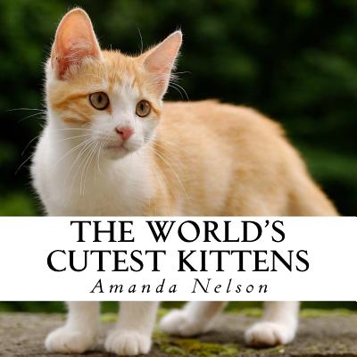 The World's Cutest Kittens: A text-free book for Seniors and Alzheimer's patients - Nelson, Amanda