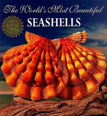 The World's Most Beautiful Seashells - Carmichael, Pele, and Hill, Leonard, and Ohr, Tim (Editor)