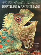 The World's Most Spectacular Reptiles and Amphibians - Love, Bill, and LaMar, William W, and LaMar, Bill