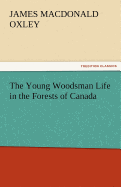 The Young Woodsman Life in the Forests of Canada