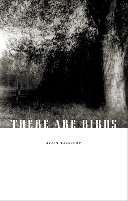 There Are Birds - Taggart, John, Mr.