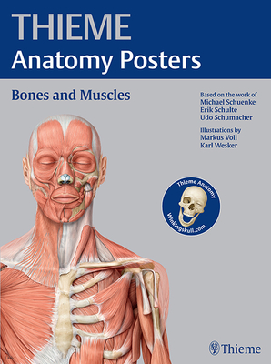 Thieme Anatomy Posters Bones and Muscles, Latin Nomeclature - Schuenke, Michael, and Schulte, Erik, and Schumacher, Udo