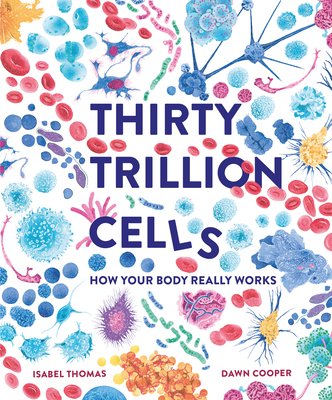 Thirty Trillion Cells: How Your Body Really Works - Thomas, Isabel