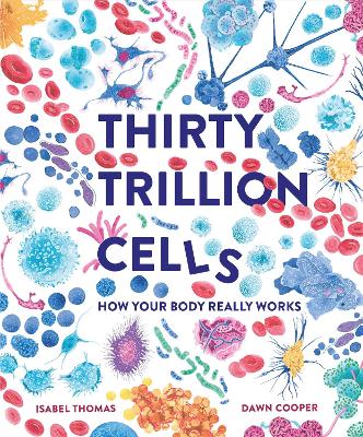 Thirty Trillion Cells: How Your Body Really Works - Thomas, Isabel