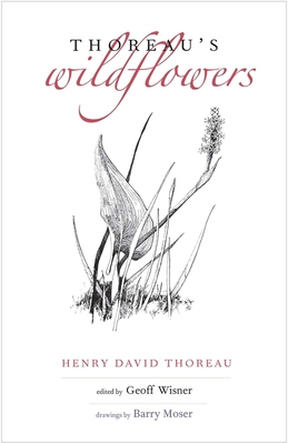 Thoreau's Wildflowers - Thoreau, Henry David, and Wisner, Geoff (Editor)