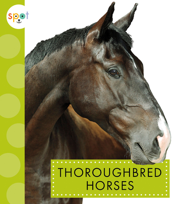 Thoroughbred Horses - Thielges, Alissa