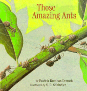 Those Amazing Ants