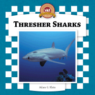 Thresher Sharks