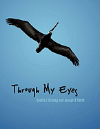 Through My Eyes