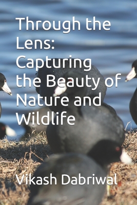 Through the Lens: Capturing the Beauty of Nature and Wildlife - Dabriwal, Vikash