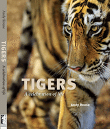 Tigers: A Celebration of Life