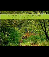 Tigers in the Emerald Forest: Ranthambhore After the Monsoon