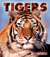 Tigers