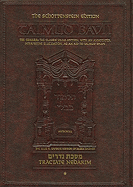 Till the Shame Passed by: Tractate Nedarim: The Gemara: The Classic Vilna Edition, with an Annotated, Interpretive Elucidation ...