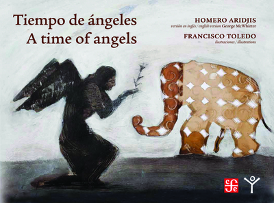 Time of Angels - Aridjis, Homero, and McWhirter, George (Translated by)