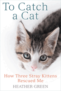 To Catch a Cat: How Three Stray Kittens Rescued Me