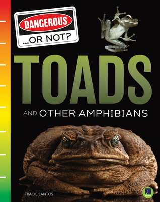 Toads and Other Amphibians - Santos