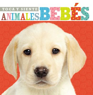 Toca Y Siente Animales Bebs - Nelson, Grupo