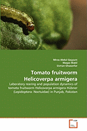 Tomato Fruitworm Helicoverpa Armigera