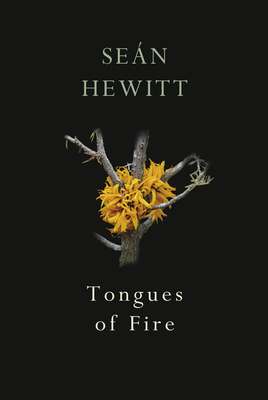 Tongues of Fire - Hewitt, Sen