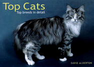 Top Cats: Top Breeds in Detail