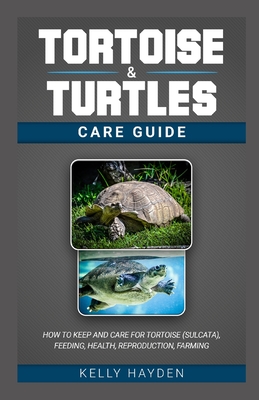 Tortoise and Turtles Care Guide: How to keep and care for tortoise ...