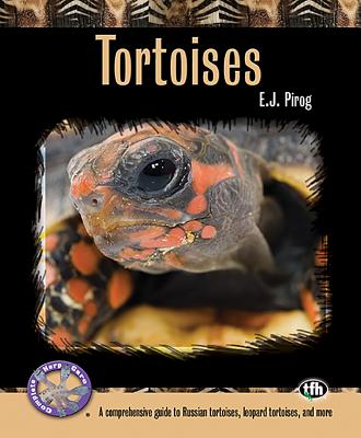 Tortoises: A Comprehensive Guide to Russian Tortoises, Leopard Tortoises, and More - Pirog, E J