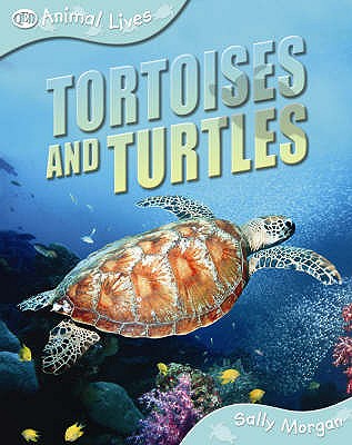 Tortoises and Turtles - Morgan, Sally