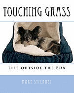 Touching Grass: Life Outside the Box