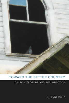 Toward the Better Country - Irwin, L Gail, and Schoen, David C (Foreword by)