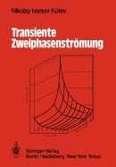 Transiente Zweiphasen-Strmung