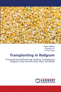 Transplanting in Redgram