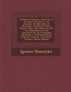 Tratado de Ensayes, Tanto Por La Via Seca Como Por La Via Humeda, de Toda Clase de Minerales y Pastas de Cobre, Plomo, Plata, Oro, Mercurio, &C: Con Descripcion de Los Caracteres de Los Principales Minerales y Productos de Las Artes En America, y En Parti - Domeyko, Ignacio