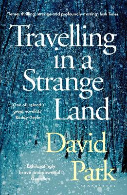Travelling in a Strange Land: Winner of the Kerry Group Irish Novel of the Year - Park, David