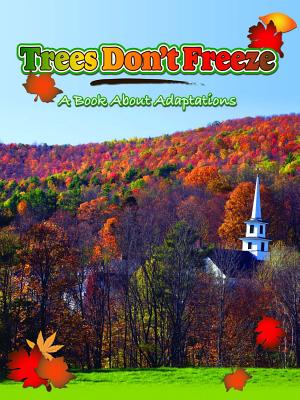 Trees Don't Freeze: A Book about Adaptations - Sheehan, Thomas