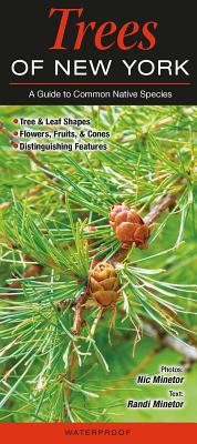 Trees of New York: A Guide to Common Native Species - Minetor, Nic & Randi