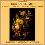 Trockne Blumen: 19th Century Flute Music