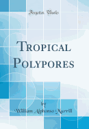 Tropical Polypores (Classic Reprint)