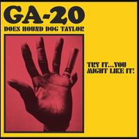 Try It... You Might Like It! GA-20 Does Hound Dog Taylor - GA-20