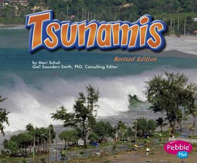 Tsunamis - Schuh, Mari