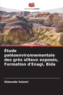 ?tude pal?oenvironnementale des gr?s silteux expos?s, Formation d'Enagi, Bida