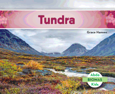 Tundra (Tundra Biome)