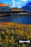 Tundra