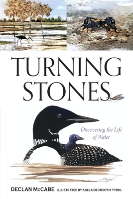 Turning Stones: Discovering the Life of Water - McCabe, Declan