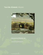 Turtle Creek Residence - Predock, Antoine