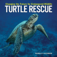 Turtle Rescue: Changing the Future for Endangered Wildlife