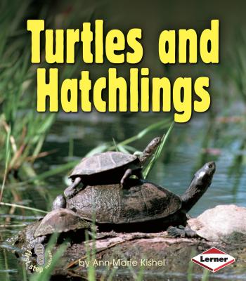 Turtles and Hatchlings - Kishel, Ann-Marie