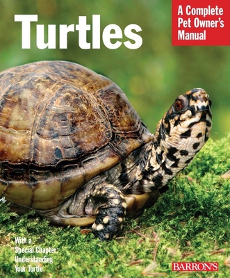 Turtles: Everything about Purchase, Care, and Nutrition - Wilke, Hartmut