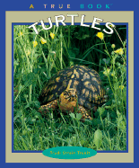 Turtles - Trueit, Trudi Strain