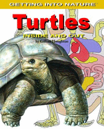 Turtles